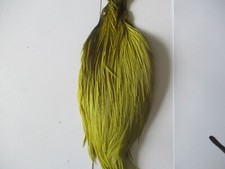 Premium cock cape neck light olive genetic hackle feathers fly tying
