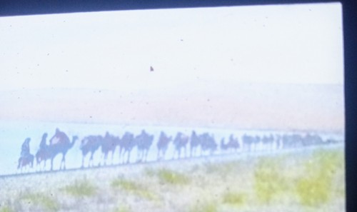 Magic lantern slide sea - slide, of