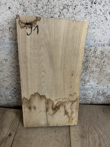 Oak hardwood timber - hardwood,
