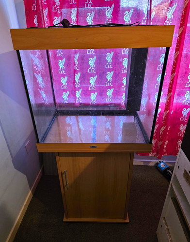 Juwel glass cube fish - juwel,