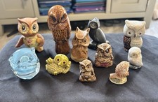 Owl Collection 11 Owls To