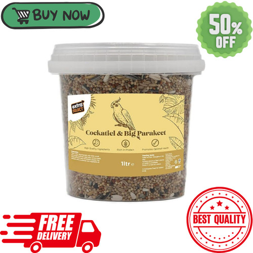 Extra select cockatiel - extra, big