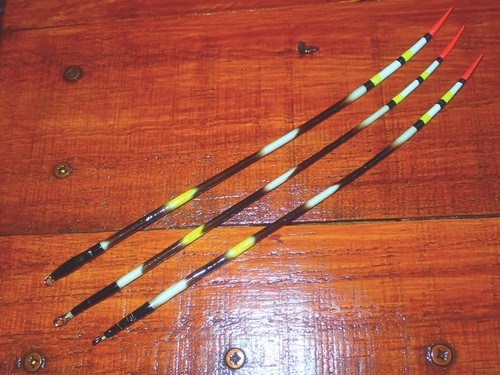 Three tiger striped - ,