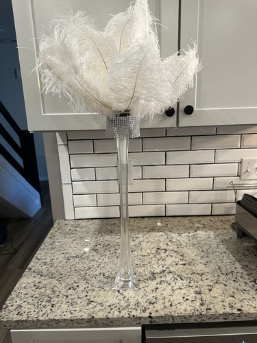 Set ostrich feather - ostrich,