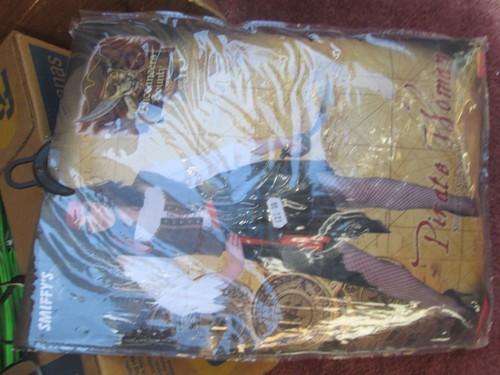Adult fancy dress costumes - adult,