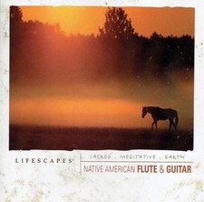Native American Flute & Guitar