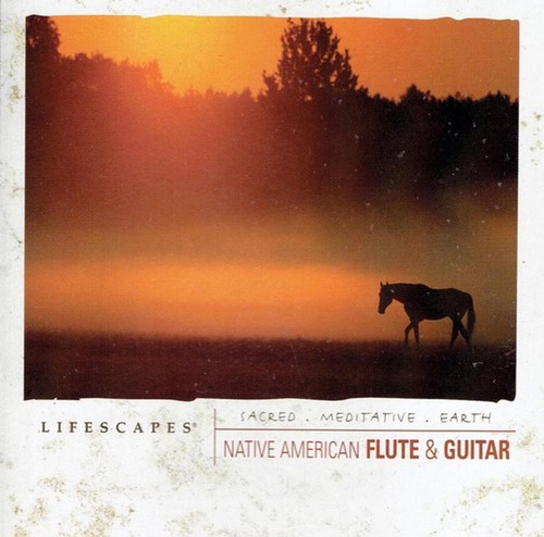 Native american flute guitar - flute, &