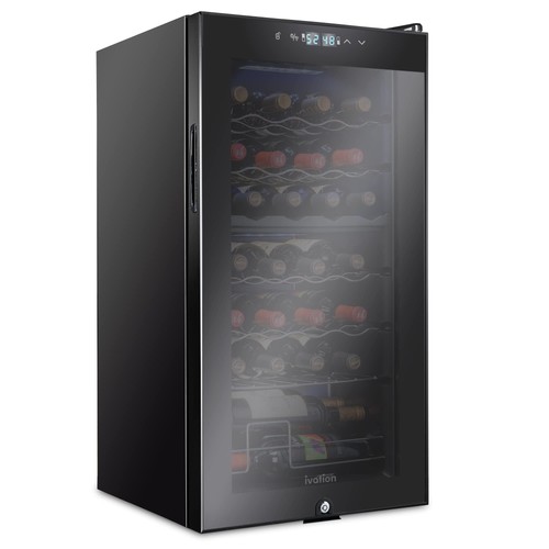 Wine cooler bottle dual - cooler, 28