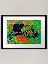 Colorful Loon Canadiana