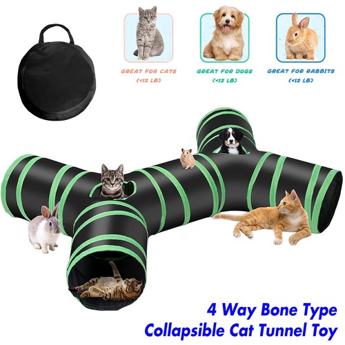 Large way cat - large,