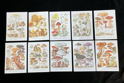 Set vintage 1960s - a,