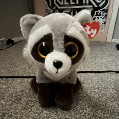 Classic bandit raccoon - ty,