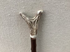 Red deer antler - red,