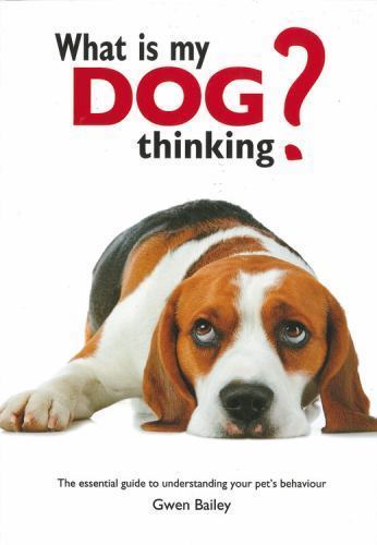 What dog thinking the - my, thinking?: