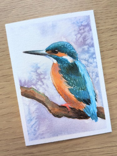 Aceo kingfisher original - aceo,