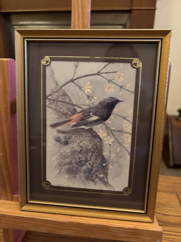 Vintage basil ede framed - vintage,