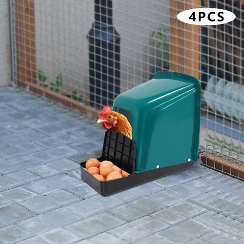 Chicken nest box plastic - chicken,