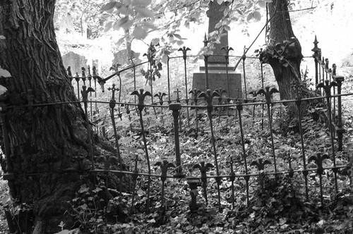 Photo 6x4 old iron railings - iron,