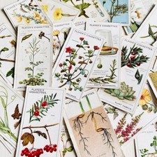 Struggle for Existence Plant Nature John Player Cigarette Cards