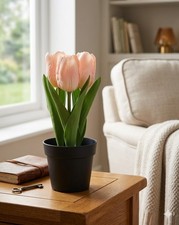 Ikea Fejka Artificial Potted