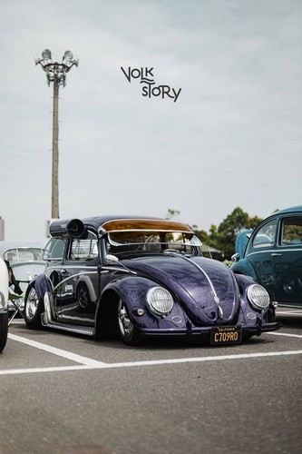 Beetle bug external vintage - beetle,