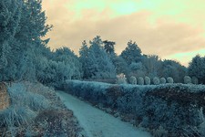 Infrared 590 nm Canon EOS