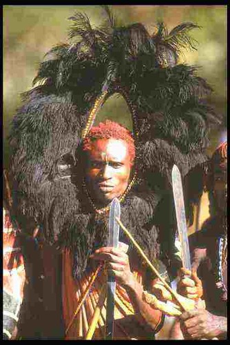 253082 masai warrior lion - in,