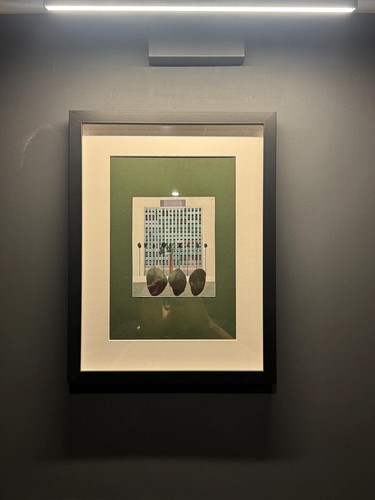 Framed david hockney book - hockney,