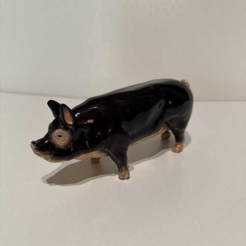 Acorn ceramic pig - ornament,
