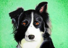 Border Collie Dog Painting in