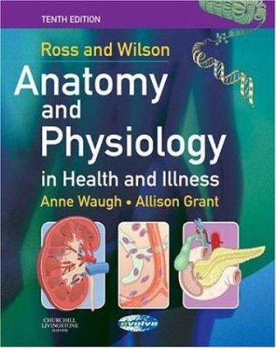 Anatomy and physiology - anatomy,