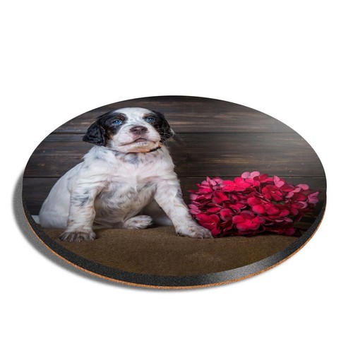 Round mdf coaster english - round,