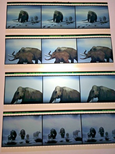 Prehistoric mammoth 70mm - prehistoric,