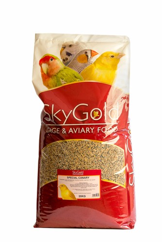 Skygold special canary - canary, bird