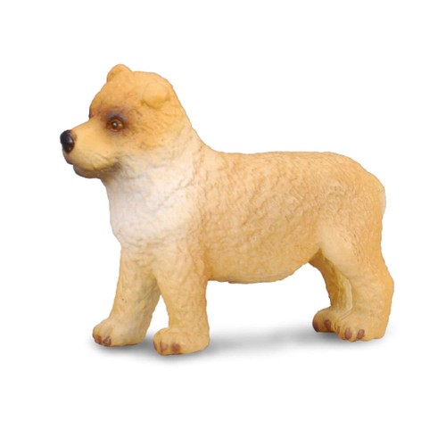 Collecta chow - chow, puppy