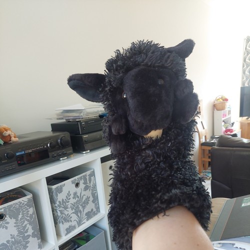 The puppet company black sheep - the,