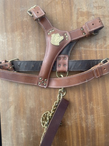Staffy leather dog harness - leather,