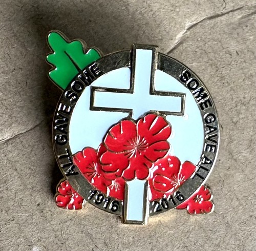 1916 2016 poppy remembrance - poppy¹,