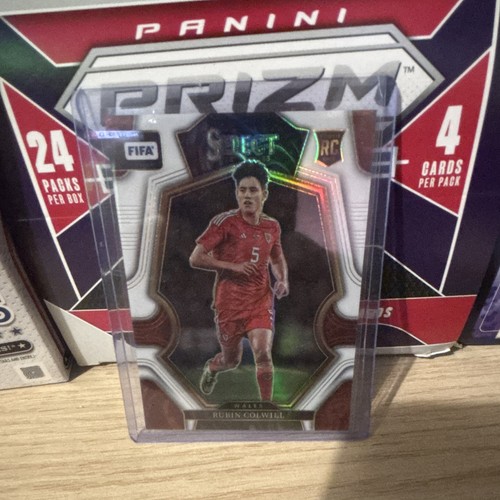 Panini select fifa - select,