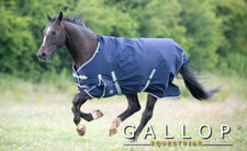SALE ON Gallop Trojan 300g