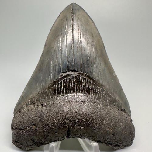 Great shape nice quality - nice, 4.16"