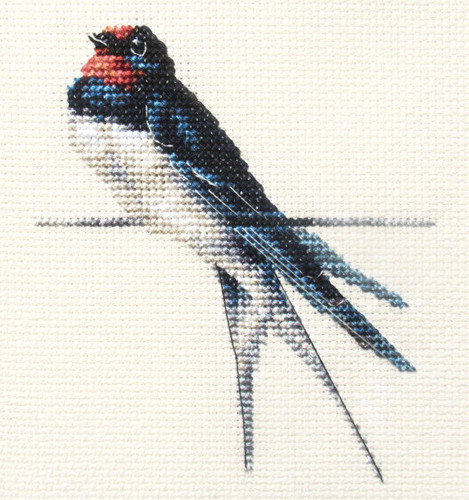 Swallow garden bird - bird, full