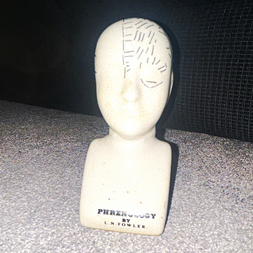 Fowler phrenology ceramic - l.n.,