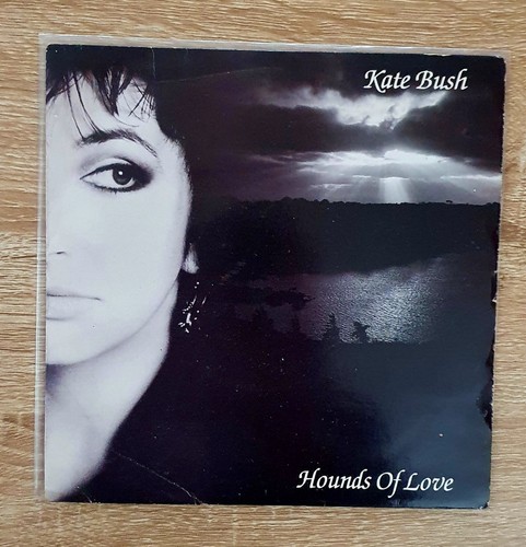 Kate bush hounds - kate,