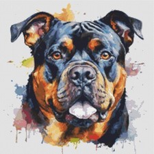 American Bully Puppy Dog