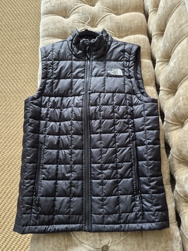 The north face mens - the,