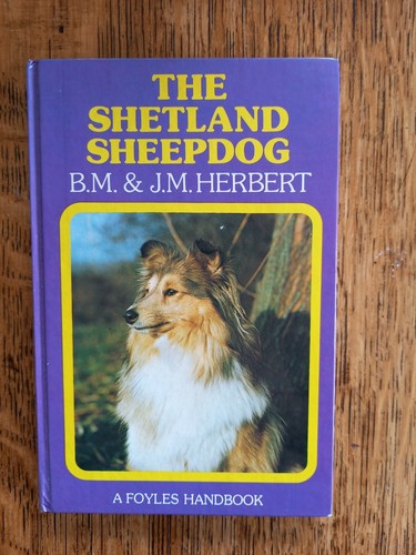 The shetland sheepdog - shetland,