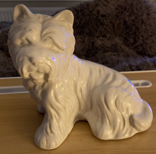 West highland terrier dog - west,