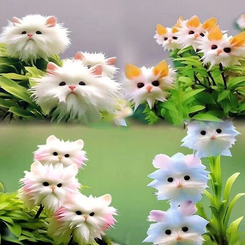 100pcs rare cat - cat, face