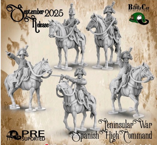 Napoleonic peninsular - napoleonic,